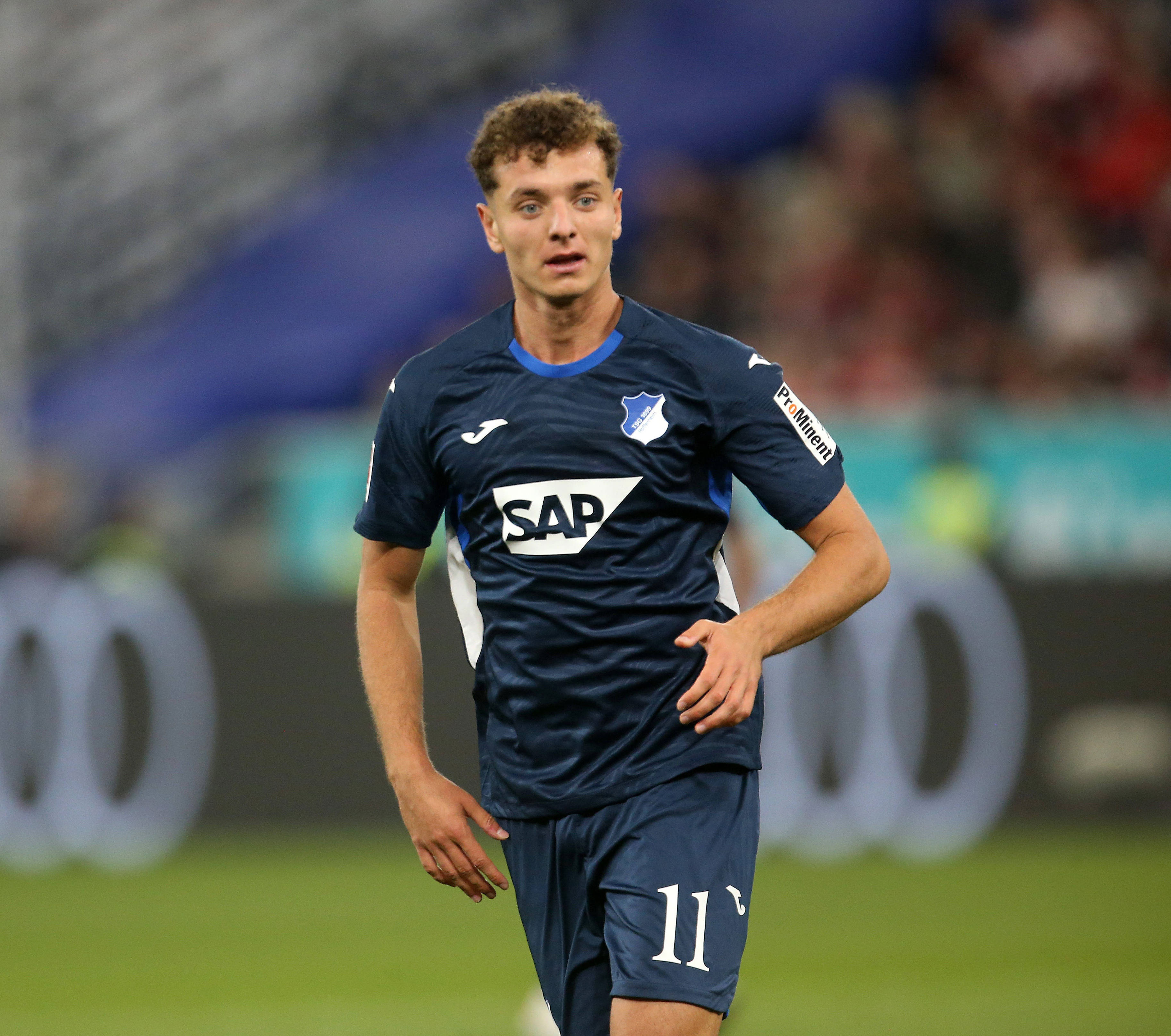 而芬斯尼克 而芬斯尼克